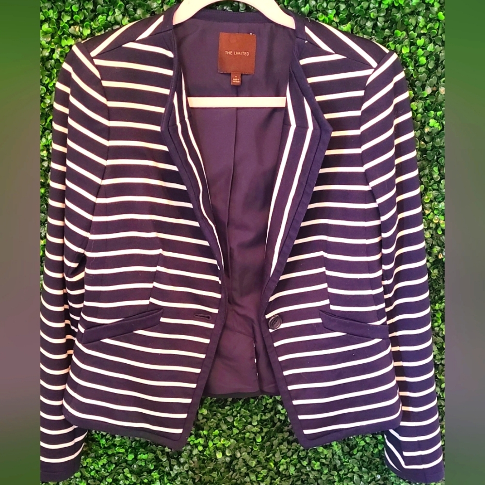 The Limited Navy Stipe Blazer